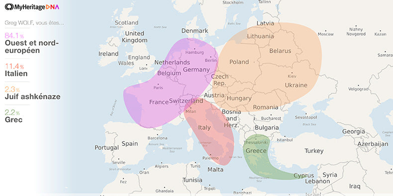Carte génétique des origines ethniques avec pourcentages détaillés